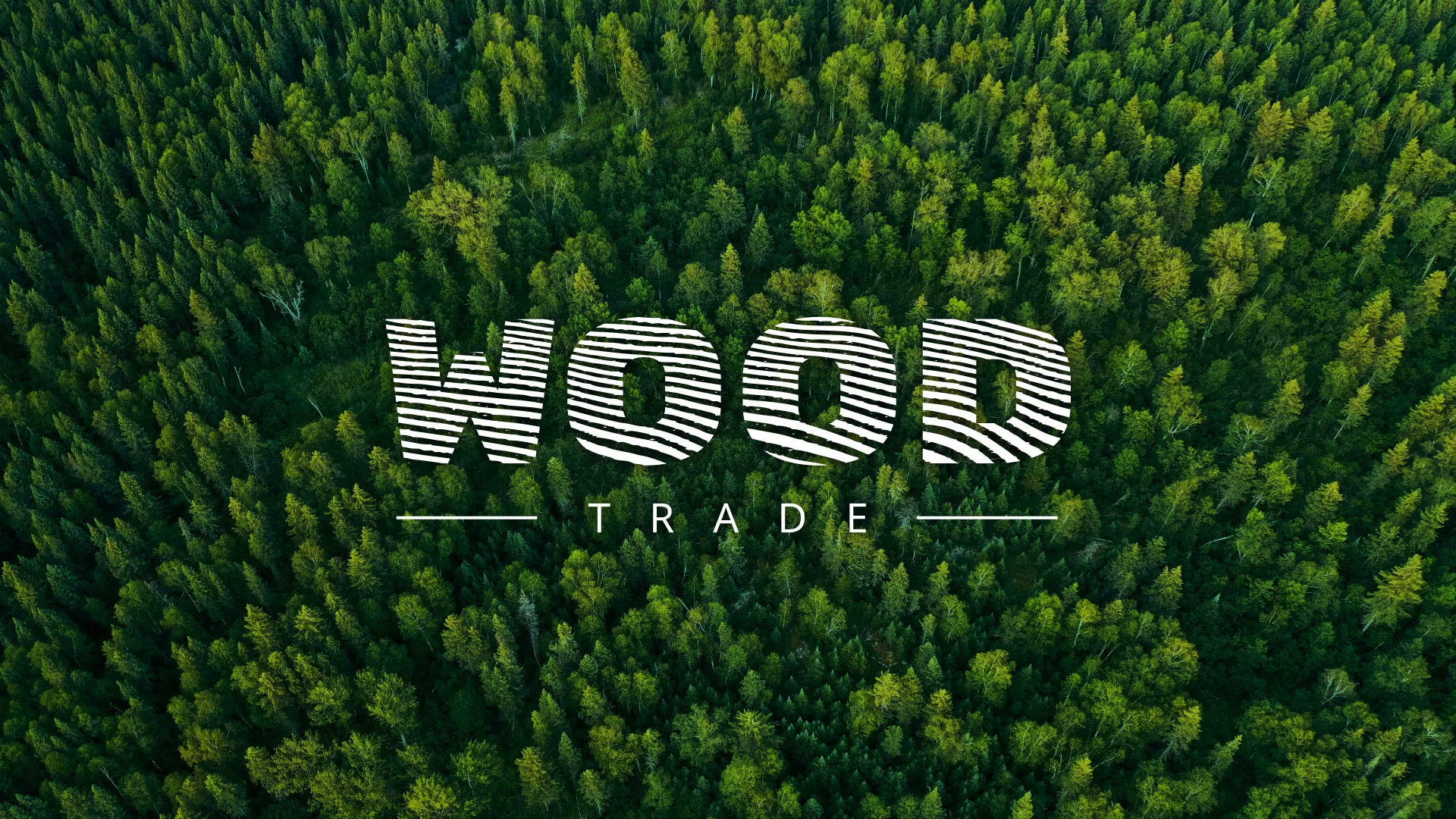 Разработка интернет-магазина компании «Wood Trade» в Минусинсе