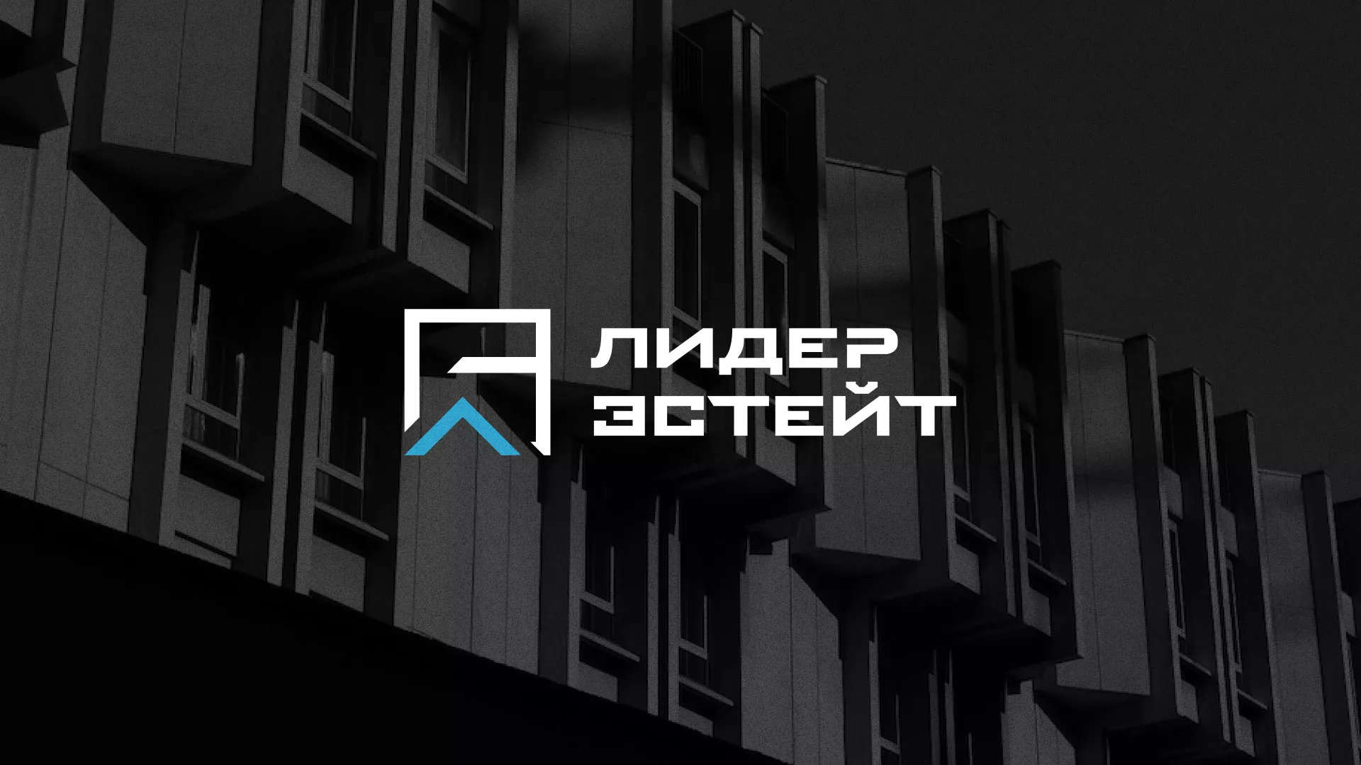 Разработка логотипа агентства недвижимости «Лидер Эстейт» в Минусинсе