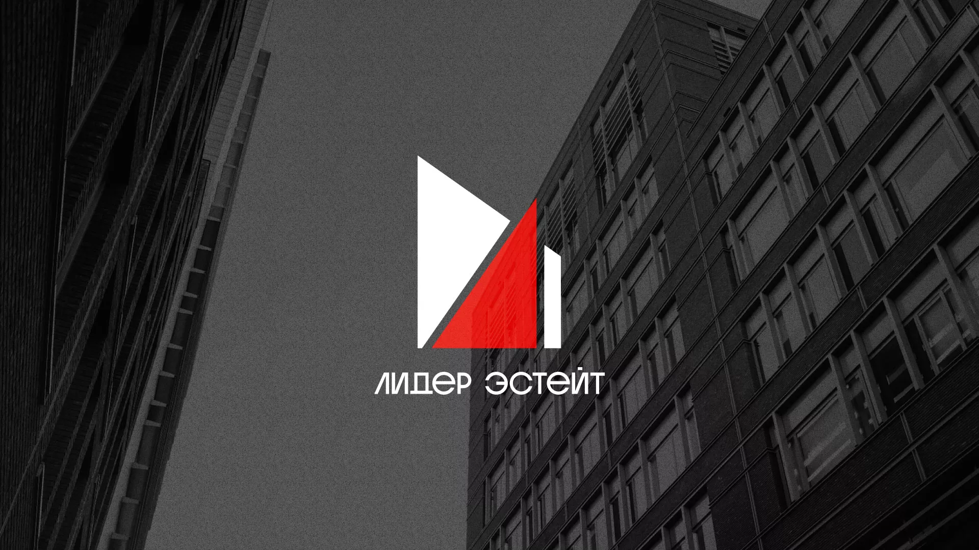 Сделали логотип для агентства недвижимости «Лидер Эстейт» в Минусинсе